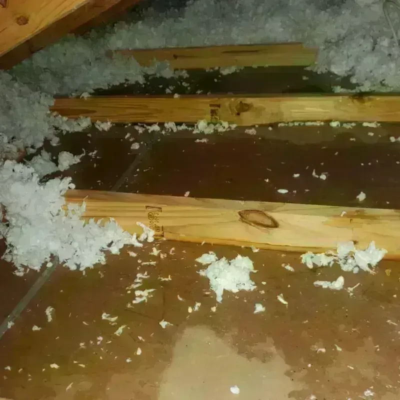 Attic Water Damage in South Monroe, MI