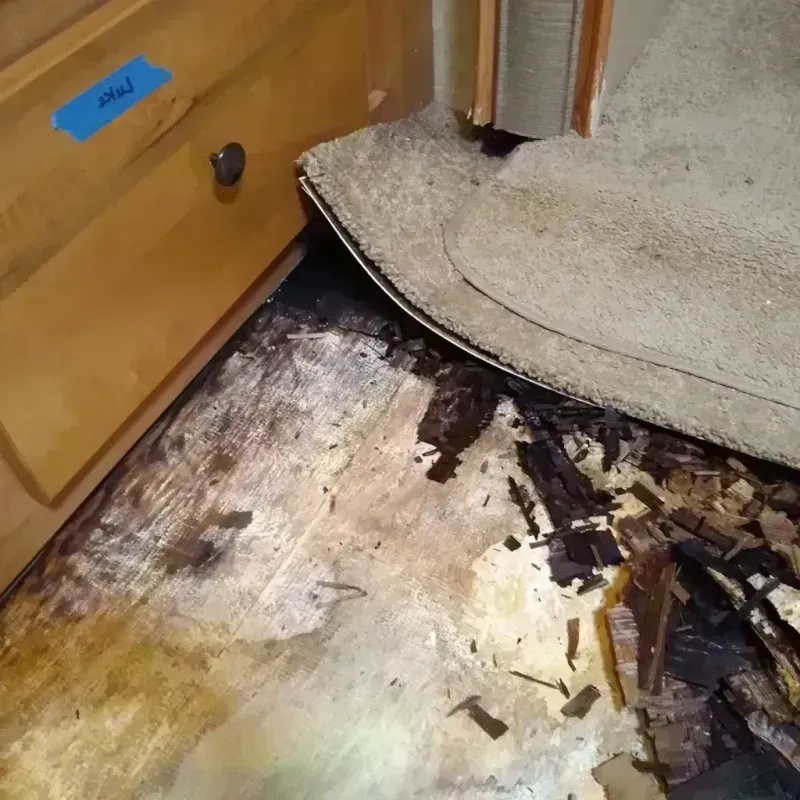 Wood Floor Water Damage in South Monroe, MI